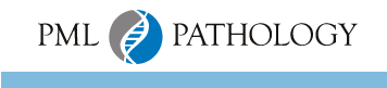 PML Pathology Partnership