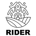 Rider